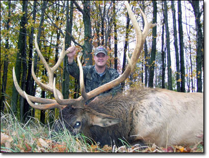 300 to 340 inch bull elk