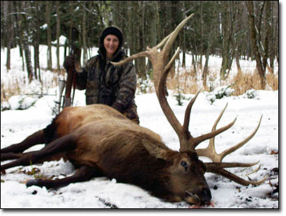 370 to 399 inch bull elk