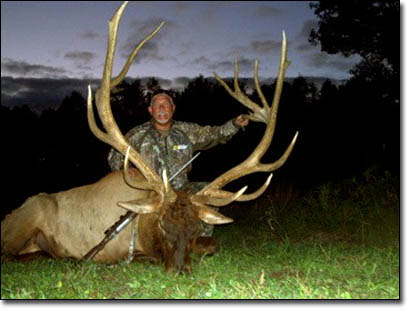 460 to 480 inch enormous elk antlers