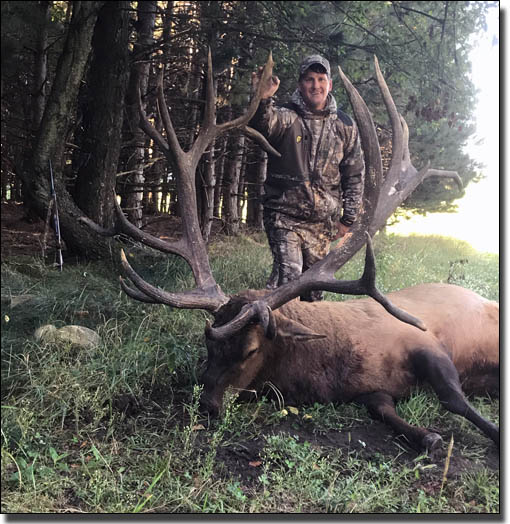 Trophy Bull Elk - over 500 pts