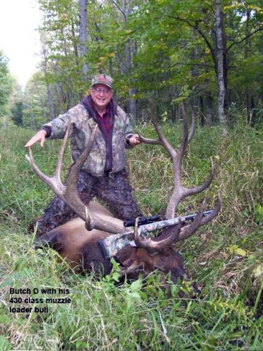 gigantic elk picture