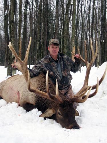 huge elk