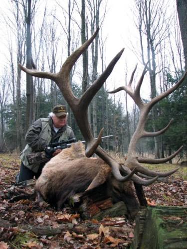 huge elk image