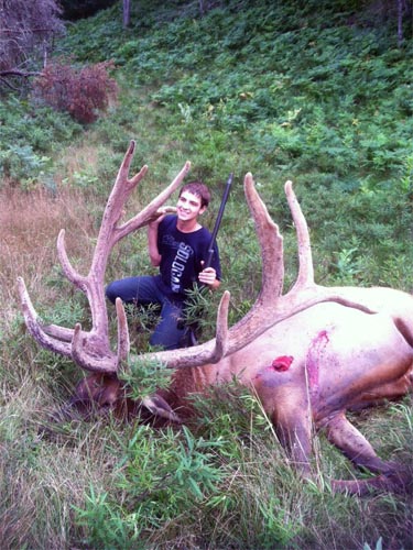 gigantic elk image