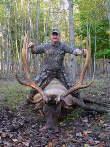 huge elk picture